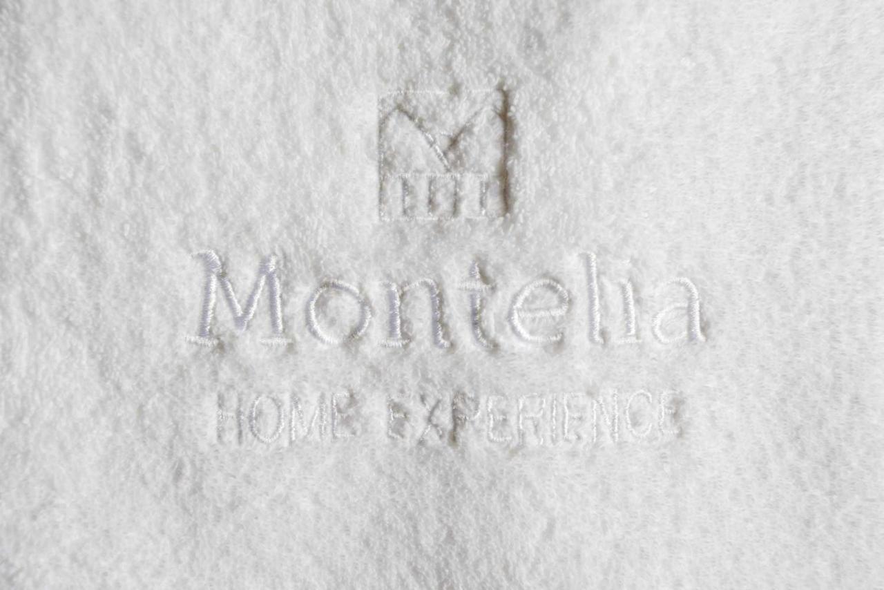 Montelia Atico El Ciervo De Panticosa Apartman Kültér fotó